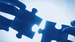 Bæredygtighed i fokus